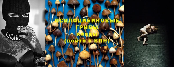 амф Алексеевка