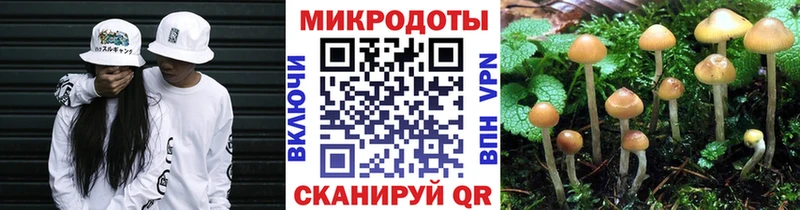 магазин продажи наркотиков  Чапаевск  Псилоцибиновые грибы мицелий 